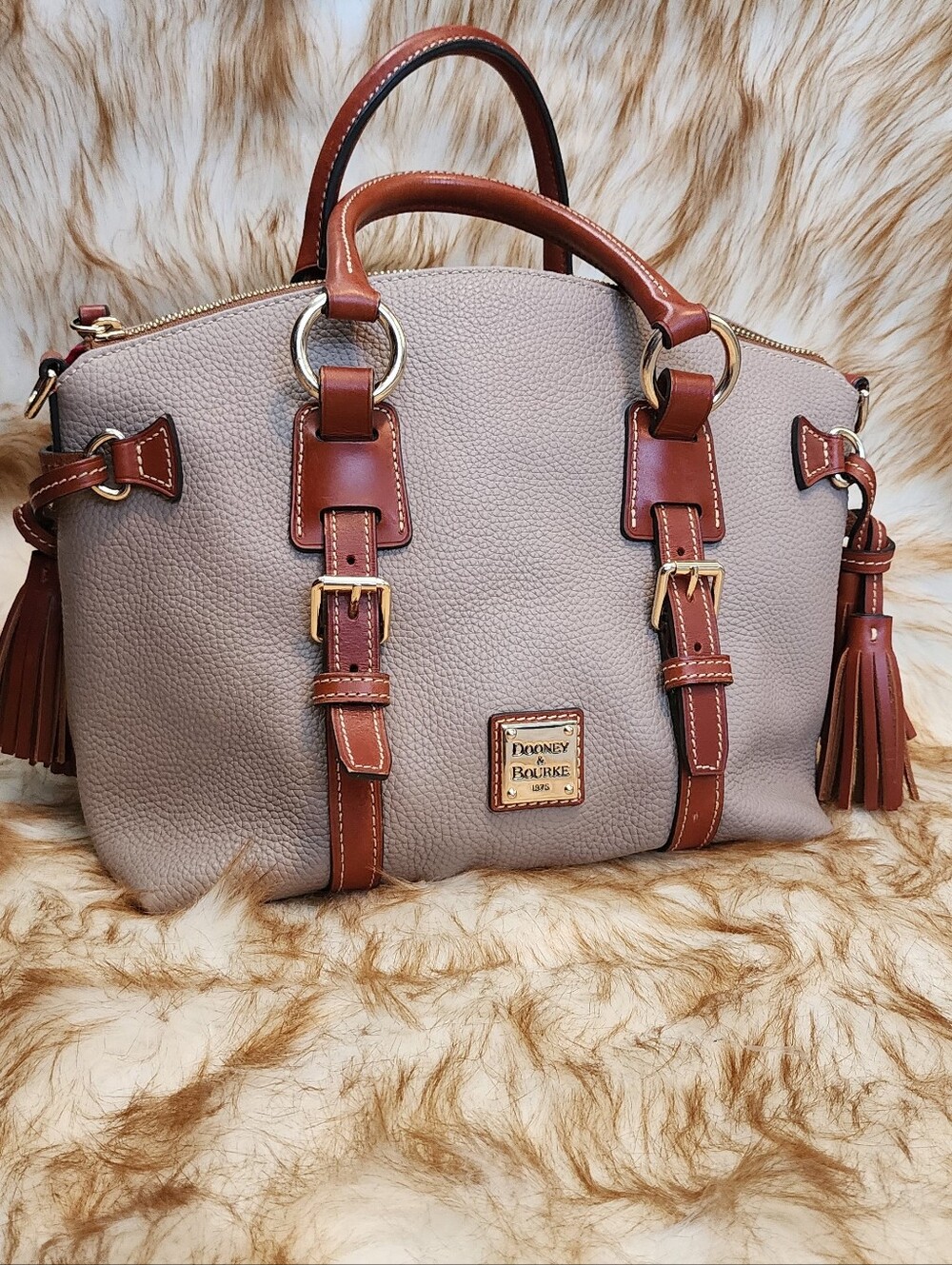 Dooney & Bourke Taupe Satchel with Brown Trim and Gold Hardware